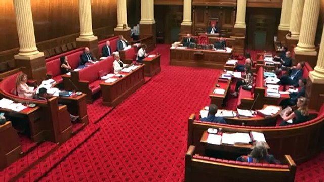 Jing Lee resigns from South Australian Liberal Party, hints at running as Independent in next election