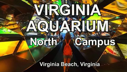 Exploring The Hidden Gems Of Virginia Aquarium's North Campus