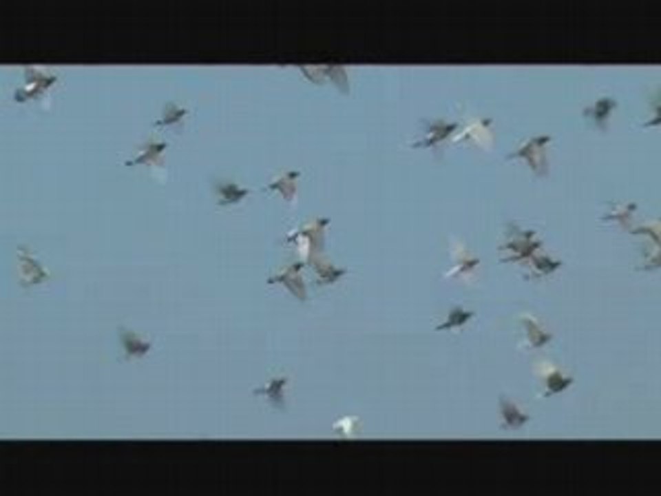 FPV 2008 Prix Delirium : Edmond