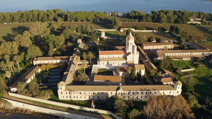 Des racines et des ailes