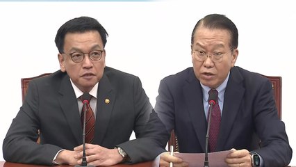 권영세, 최상목 대행 접견…탄핵정국 수습책 논의 주목 / YTN