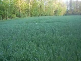 Amy et Bud dans les herbes hautes