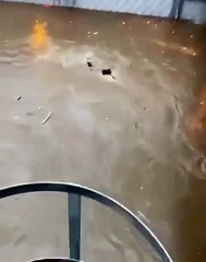 Flooding in Mecca,Saudi Arabia (video)