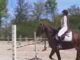 concours obstacle bf 27-04-08