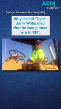 What is 'industrial manslaughter'?