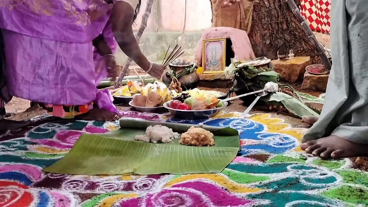 விழிம்பு நிலை  (நரிக்குறவர்கள்) குடும்பங்கள் மற்றும் தூய்மை பணியாளர்கள் கொண்டாடிய சமத்துவ பொங்கல் விழா, ஆட்டம் பாட்டத்துடன் கொண்டாட்டம்