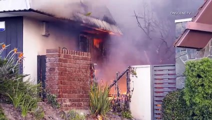 Structures Burn as Palisades Fire Explodes to 1,200+ Acres