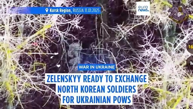 Zelenskyy says he'll send North Korean soldiers home in swap for Ukrainian POWs