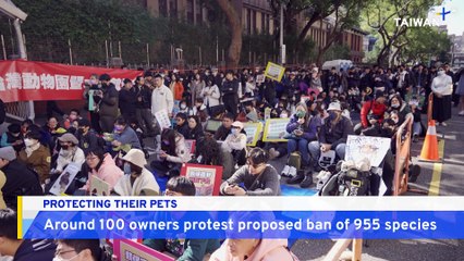 Potential Ban on Over 950 Animal Species Prompts Protest in Taipei