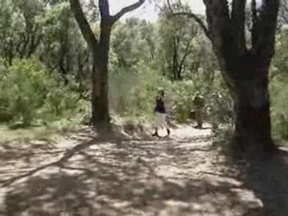 Delta Corse Mine Flash Airsoft