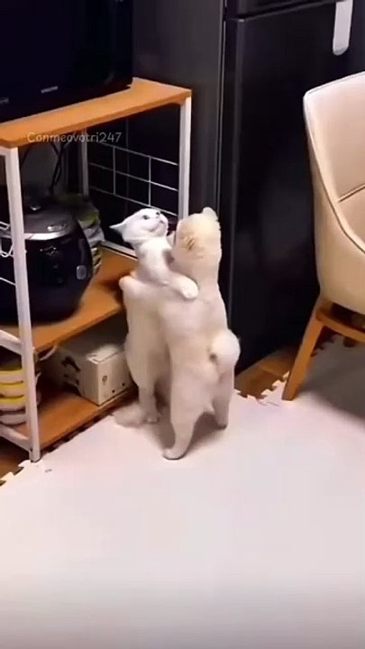 Tu das nicht, Bruder. Schrie meine Mutter.