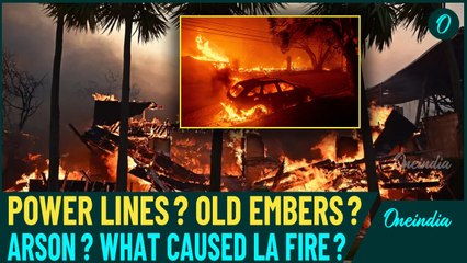 Los Angeles California's Harrowing Wildfire Man-Made or Natural? 26 Dead as Experts Hunt for Culprit