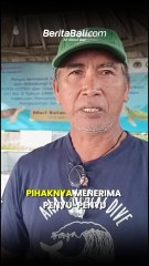 29 Penyu Hijau Diamankan dan Dilepaskan Kembali ke Habitat di Jembrana