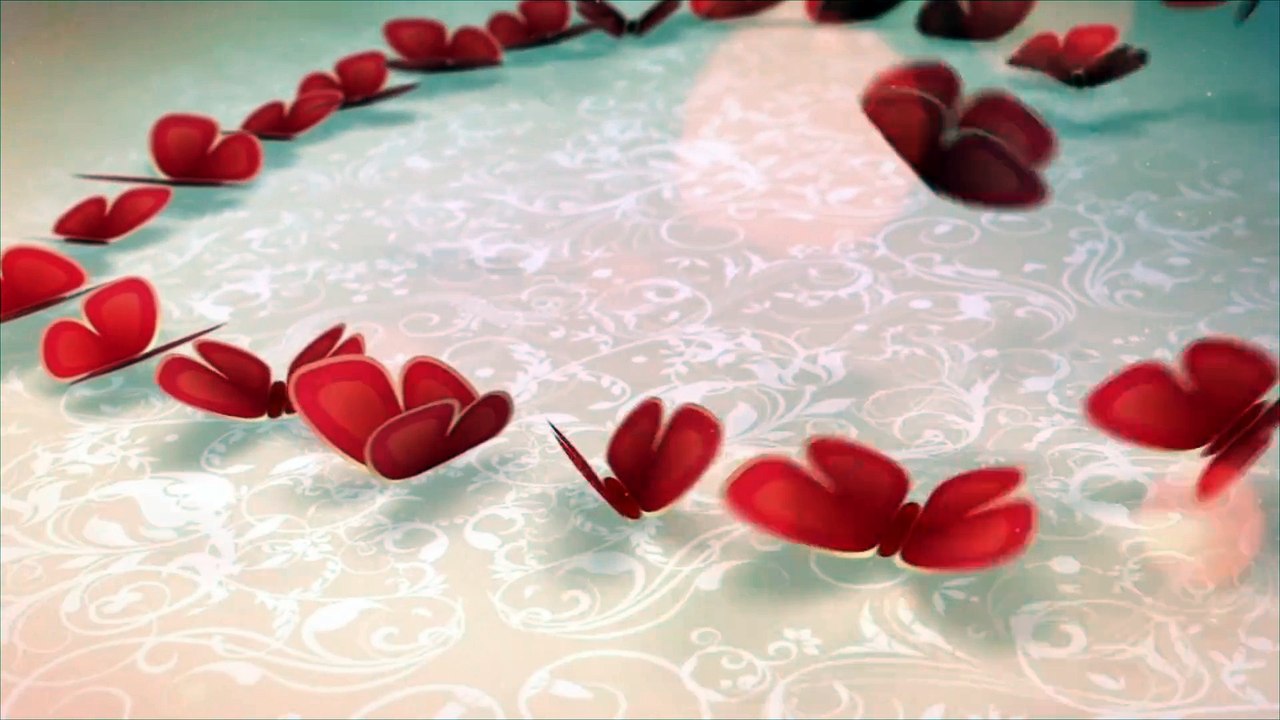 SWEET BUTTERFLIES VALENTINE'S DAY CARD - AE Template - Worldasr.com