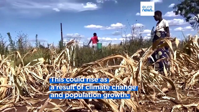 Nobel prize winners demand investment in food solutions to avoid global hunger crisis