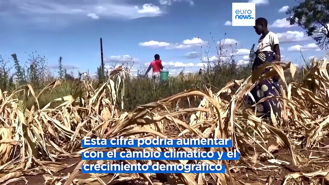 Más de 150 premios Nobel y World Food Prize piden un esfuerzo global para evitar una crisis alimenta