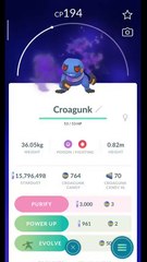 Pokémon GO-Purifying Shadow Croagunk