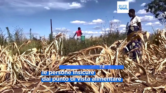 Fame nel mondo, l'appello dei premi Nobel: Più ricerca per scongiurare la crisi alimentare globale