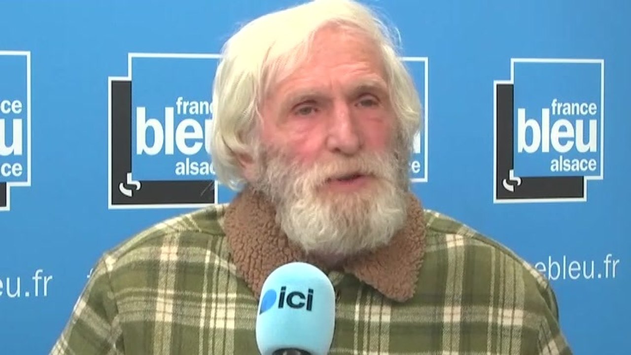 Alsace Nature appelle les chasseurs à tuer plus de cerfs pour protéger la forêt