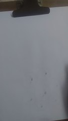 Wi-Fi: Wireless Internet Connection