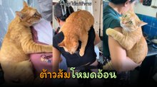 เมื่อเจ้าส้มจะอยู่กับแม่ ไม่สนใครทั้งนั้น อื้อหือ..อ้อนเก่งอะไรเบอร์นี้