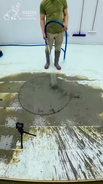 One Minute Miracle Saves A Heavily Soiled Carpet - Satisfying ASMR #carpetcleaning #shorts