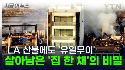 주변은 다 탔는데...LA 산불에도 멀쩡히 살아남은 집 한 채 [지금이뉴스]  / YTN