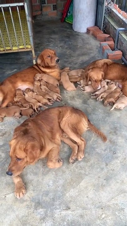 Kui weiß nichts...weil die beiden Kui lieben...