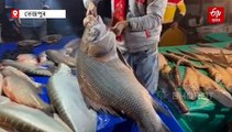 তেজপুৰত আবাল-বৃদ্ধ-বণিতাৰ লগে-ভাগে উৰুকাৰ এসাঁজ; ৪৫ কেজি ওজনৰ বাহু বিশেষ আকৰ্ষণ