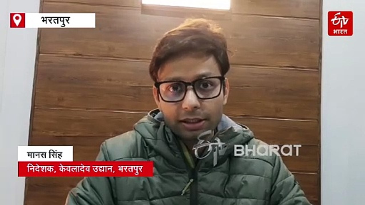 दुर्लभ पक्षी कॉमन शेल्डक की 10 साल बाद केवलादेव में वापसी, 4 हजार किमी सफर तय करके पहुंचे घना