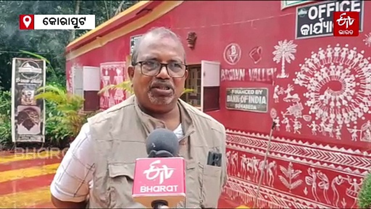 କଫି ବଗିଚାରେ ଫଳିଛି ଅଳେଇଚ, ନୂତନ ସମ୍ଭାବନାକୁ ନେଇ ଚାଷୀ ଖୁସ