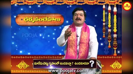 మారేడుచెట్టు గృహంలో ఉండవచ్చా? | Maredu Chettu Importance | Dharma Sandehalu | Pooja TV Telugu