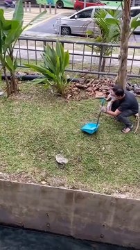 Heroic Rescue: Man Saves Puppy from Drowning