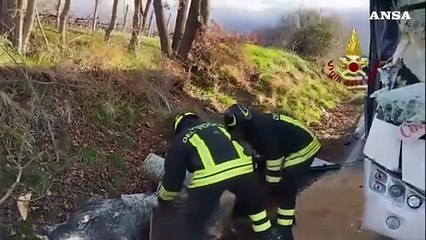 Albero?cade?su?scuolabus?nel?Fiorentino, i bambini stanno bene