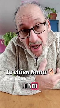 Le chien Baba 🐕 #humour #drôle #comique #humournoir #chien #animal #enfant #drole #rire