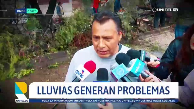 Cochabamba: Se desprenden árboles a causa de las lluvias y uno cae sobre un albergue de perros