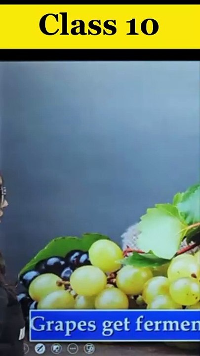 Chemical reactions and equations | Part - 2 | Class 10 | Balancing Chemical Equations