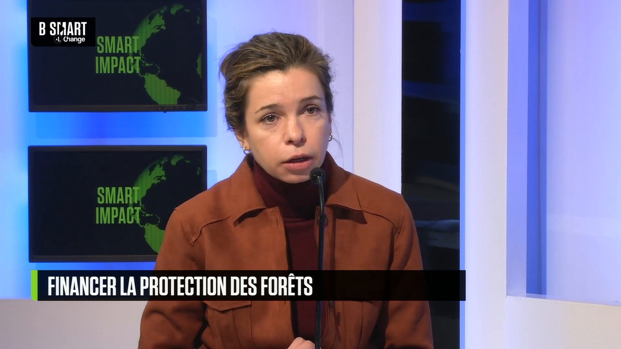 SMART IMPACT - Les entreprises s'engagent pour la préservation des forêts