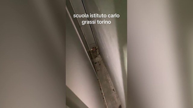Torino, topi all'istituto tecnico Grassi: colpa dei lavori in corso