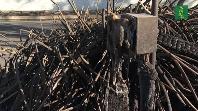 Aumenta cifra de muertos en incendios de Los Ángeles con vientos aún más peligrosos