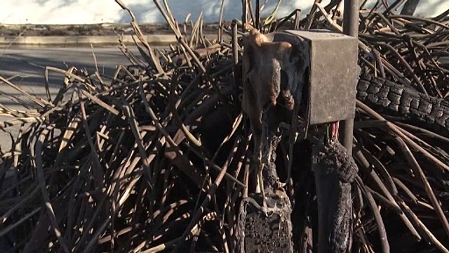 Aumenta cifra de muertos en incendios de Los Ángeles con vientos aún más peligrosos