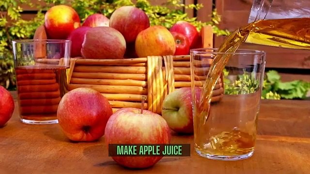 Apple sweet and savory meals Add apple to meals The Most Delicious Apple Recipes fall recipes