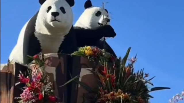 Pasadena, California: 2025 kicks off with the vibrant Rose Parade