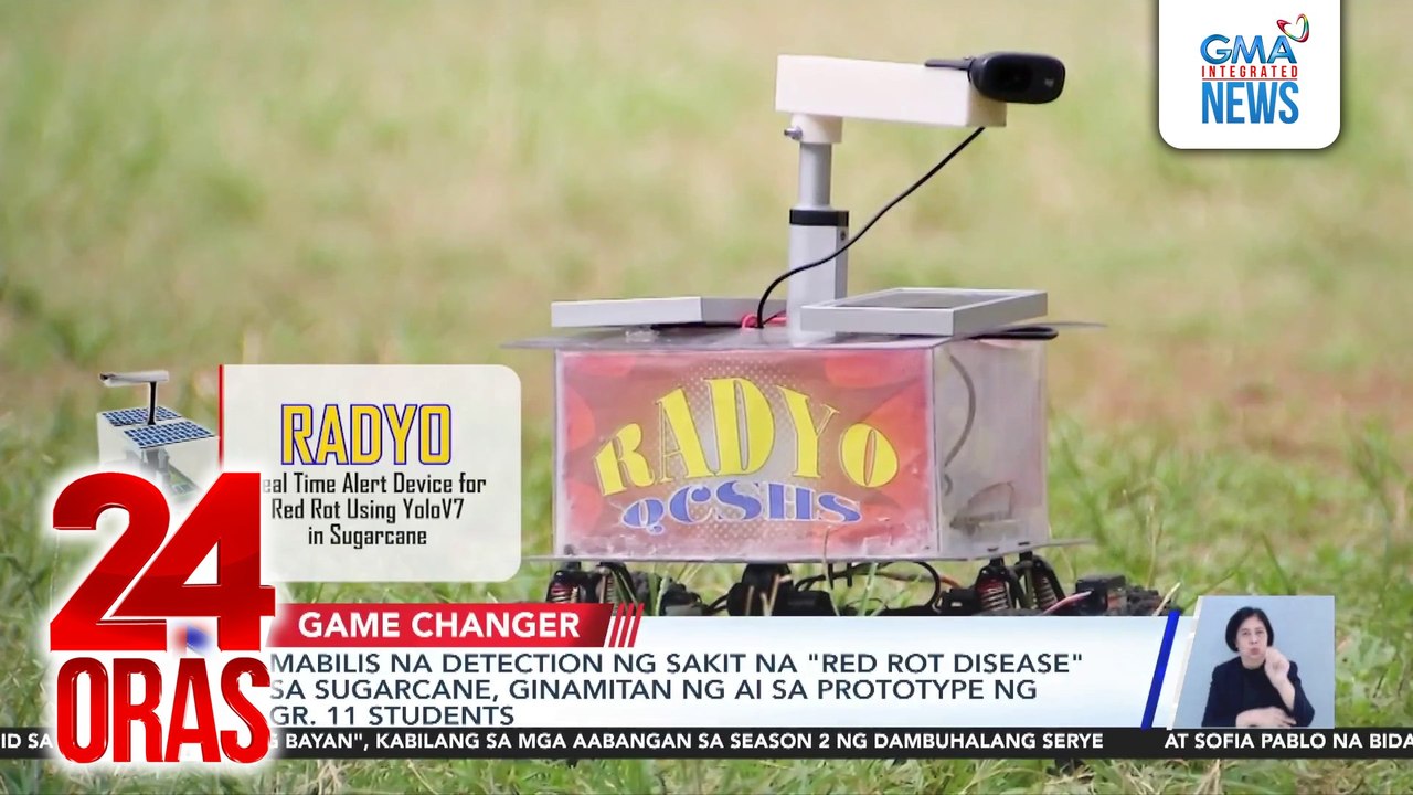 Mabilis na detection ng sakit na "red rot disease" sa sugarcane, ginamitan ng AI sa prototype ng gr. 11 students | 24 Oras