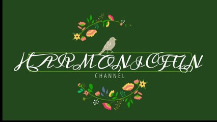 Calm Acoustic Guitar Music for Focus ✨