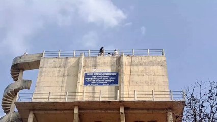 Walmik karad yanchyavar 302 dakhal kara