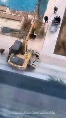 اکسیوٹر کام کام کی تلاش میں