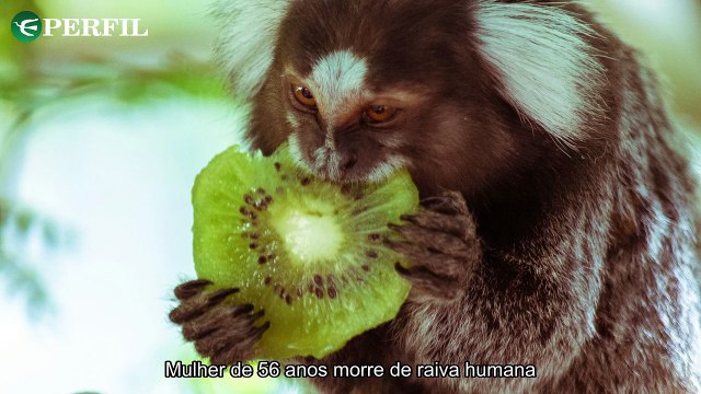 Tragédia, amor e superação: Raiva humana, aniversário de casamento e vasectomia de Zezé Di Camargo