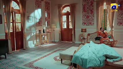 Mehshar Episode 5 - Drama Unfolds