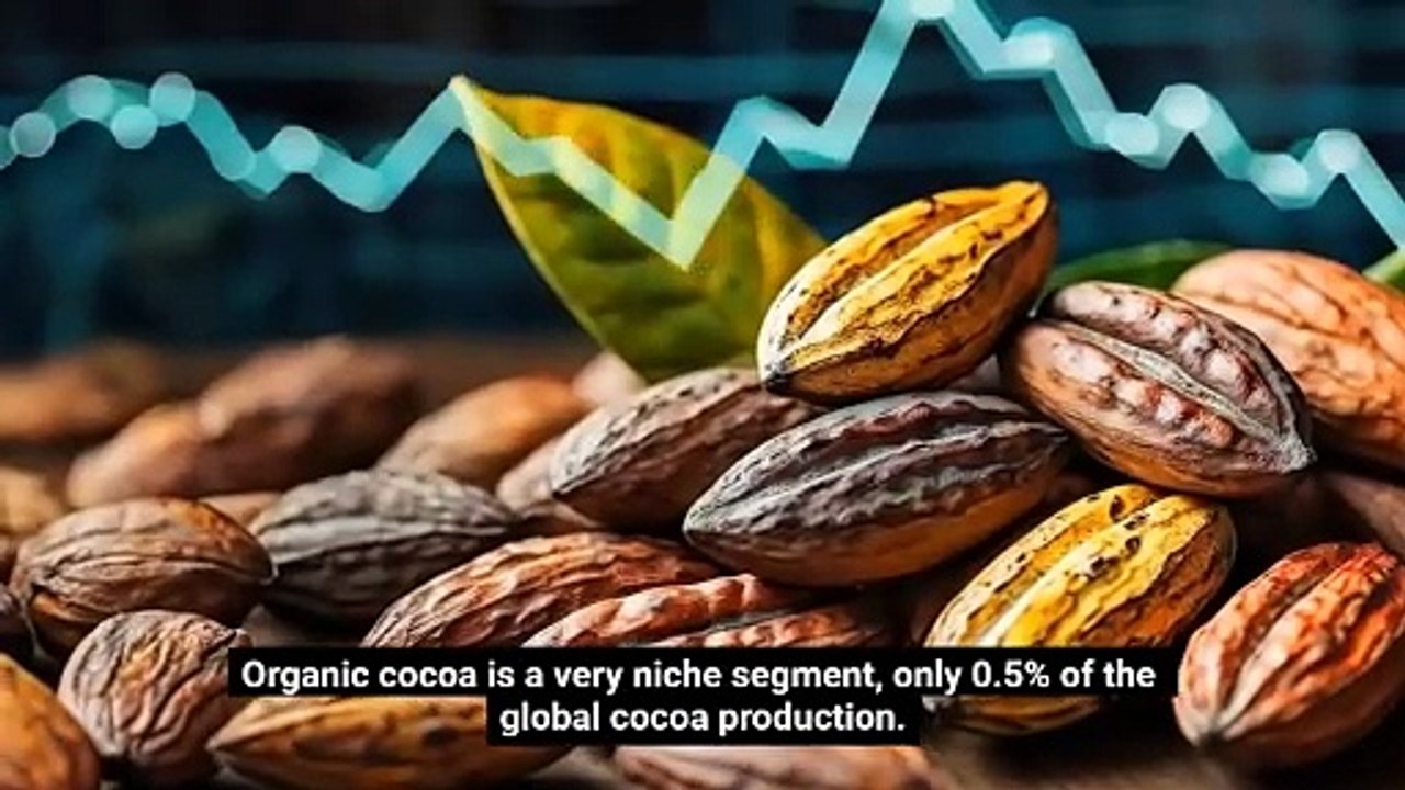 Organic Cocoa: From Sustainable Farming to Premium Chocolate